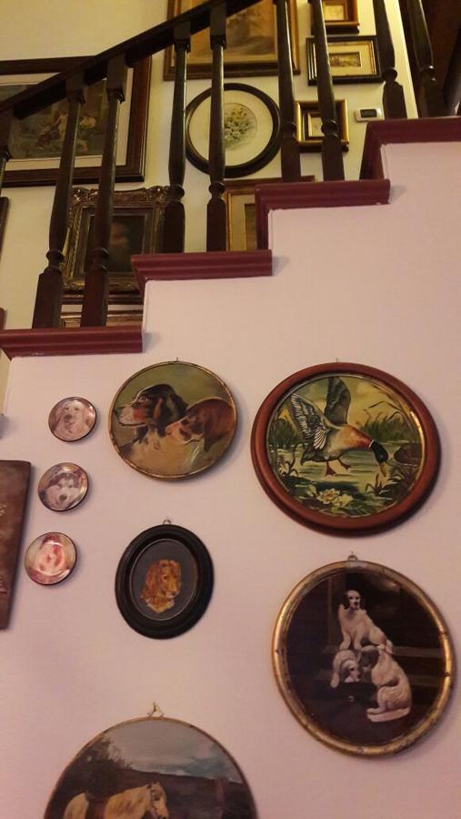 B&B Silvana Travedona Екстер'єр фото