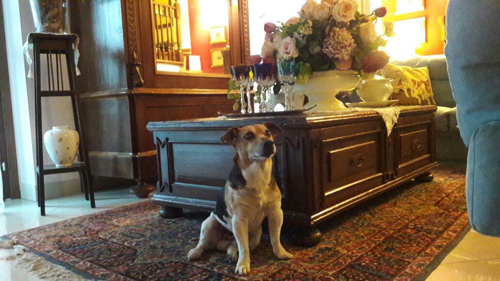 B&B Silvana Travedona Екстер'єр фото
