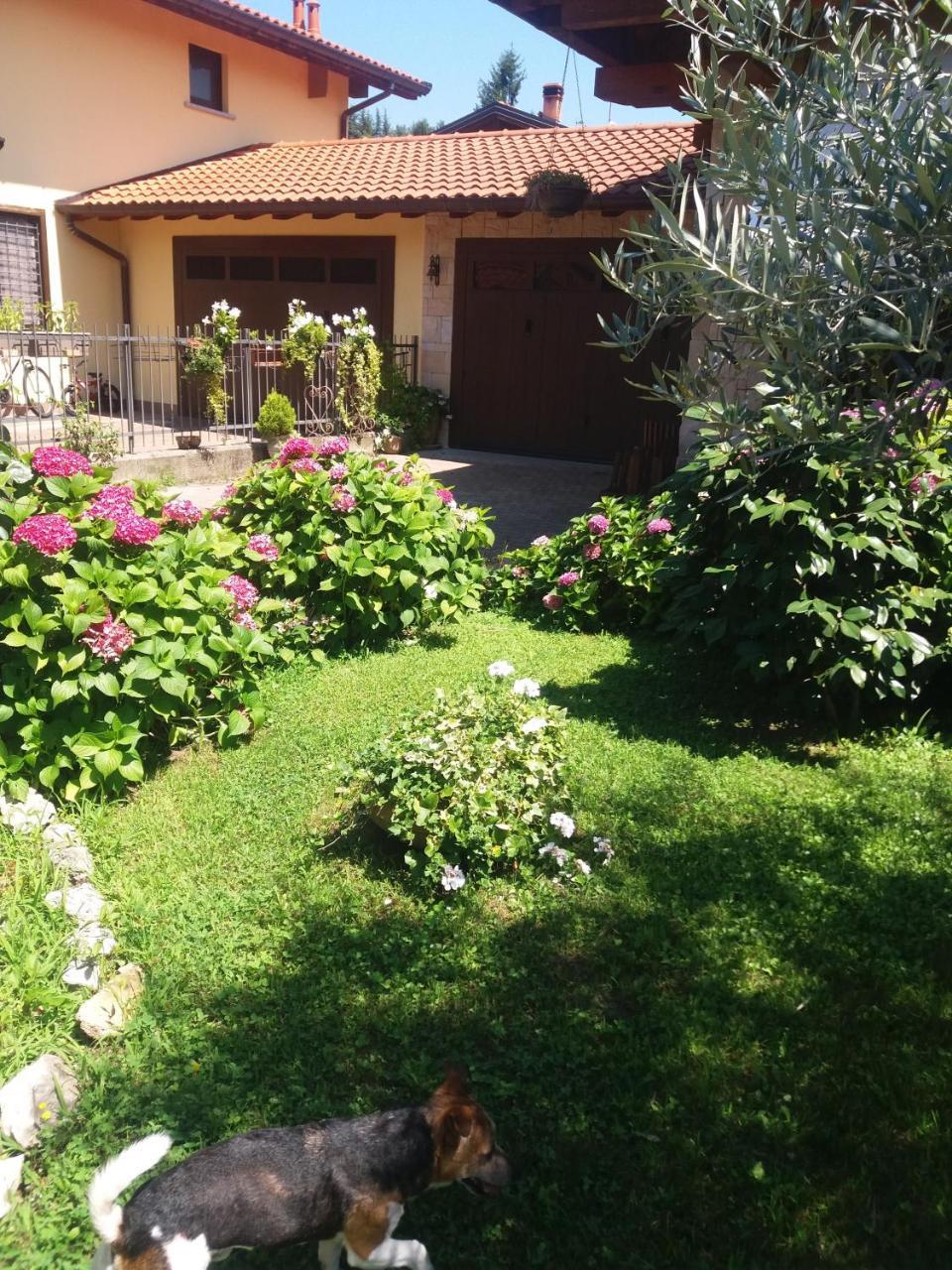 B&B Silvana Travedona Екстер'єр фото